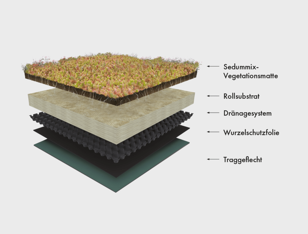 Käuferle Variobox Einhausung, Gründachaufbau